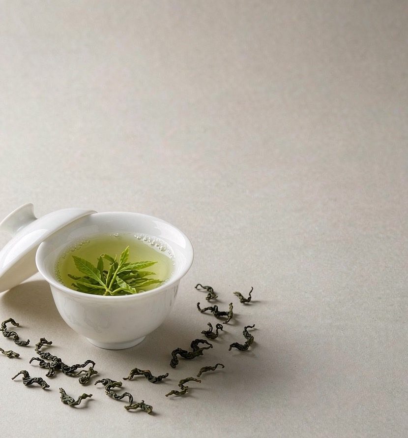 高山云雾茶园与明前鲜叶